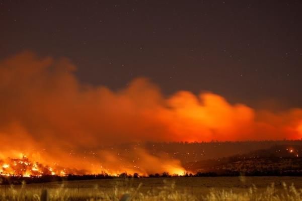 Thousands flee fast-spreading wildfire in northern California
